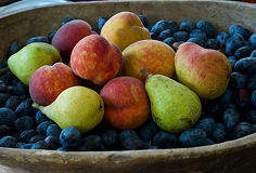 Food Image